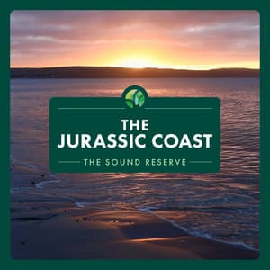 The Jurassic Coast - The Sound Reserve