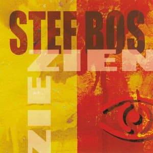 Zien - Stef Bos