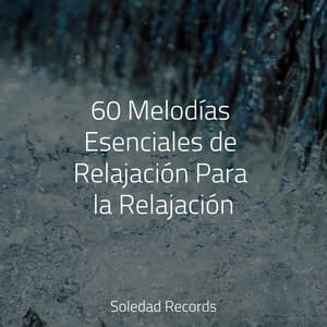 60 Melodías Esenciales de Relajación Para la Relajación - Música Para Meditar y Relajarse