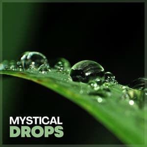 Mystical Drops - Raindrops Sleep