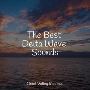 The Best Delta Wave Sounds - Rain Sounds & White Noise