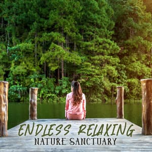Endless Relaxing Nature Sanctuary - The Outdoor Library
