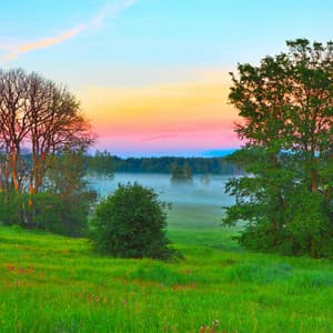 Ethereal Landscapes: Nature's Melodic Tapestry - Source Vibrations