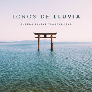 Tonos De Lluvia: Cuando Llueve Tranquilidad - Música Instrumental Maestro