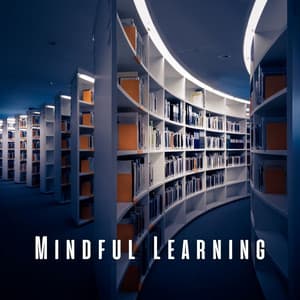 Mindful Learning: White Noise for Concentrated Study - Studying Music Playlist