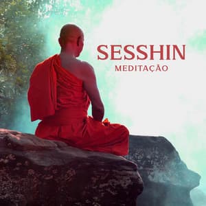Sesshin Meditação: Conectar, Unificar, Aceitar, Tocar e Continuar, Mente Universal, Grande Mente, Mente Comum, Mente Pequena, Consistindo de Pensamentos, Sentimentos e Emoções - Asiático Meditação Música