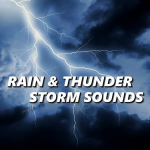 Rain & Thunder Storm Sounds - Rain & Thunder Sounds