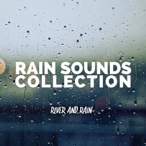 River and Rain - Rain Sounds Collection