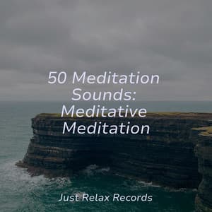 50 Meditation Sounds: Meditative Meditation - Instrumental