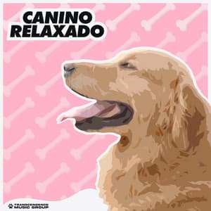 Canino Relaxado - Música de Cachorro Calmante