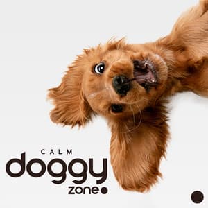 Calm Doggy Zone: Relaxing Music for Puppies and Dogs - Relaxing Music