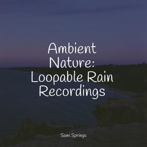 Ambient Nature: Loopable Rain Recordings - It's Raining