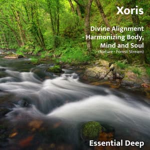 Divine Alignment - Harmonizing Body, Mind And Soul - Xoris