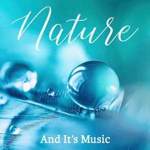 Nature And Its Music: Compilation Of Relaxing Nature Recordings Combined With Pleasant Relaxation Music - Nature Music Pregnancy Academy
