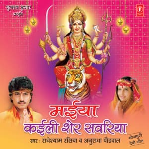 Maiya Kaeeli Sher Sewariya - Radhe Shyam Rasiya