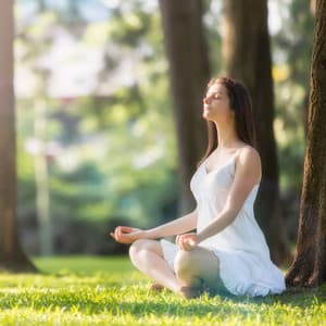 Piano Raindance Meditation: Rain's Calming Embrace - Weather and Nature Recordings