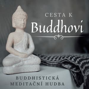 Cesta k Buddhovi: Buddhistická Meditační Hudba, Tibetské Zpívající Mísy, Asijská Všímavost - Relaxační Zvuky