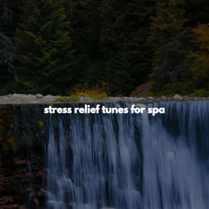 stress relief tunes for spa - Music For Deep Sleep