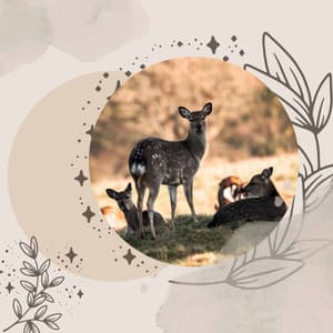 Mellow Backdrop for Rejuvenating Seasons - Restaurant Jazz Music Universe