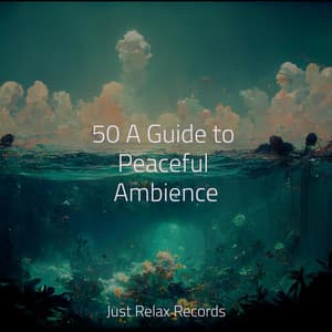 50 A Guide to Peaceful Ambience - Zen