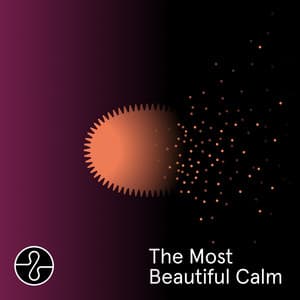 The Most Beautiful Calm - Endel