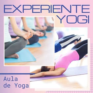 Experiente Yogi: Aula de Yoga, Sons para Contactar com as suas Emoções - Meditação Maestro