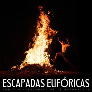 Escapadas Eufóricas: Sonidos Relajantes De La Naturaleza - Serenidad Academy