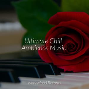 Ultimate Chill Ambience Music - Ivory Mood