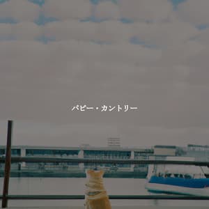 パピー・カントリー - Jazzy Mornings