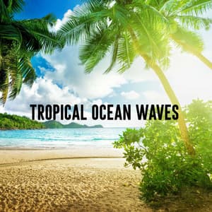 Tropical Ocean Waves - Ocean Waves Relaxation