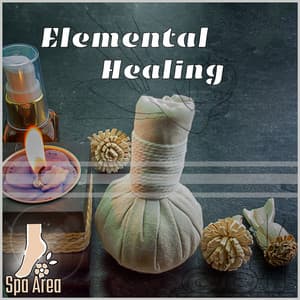 Elemental Healing: Ayurveda’s Guide to Wholeness - Spa Area