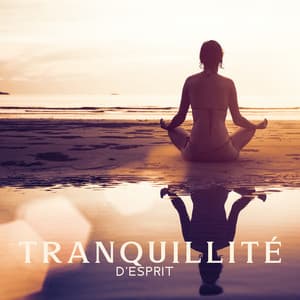 Tranquillité d'esprit: Musique de méditation pour la santé et le bien-être - Nature Académie