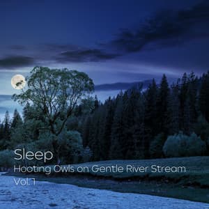 Sleep: Hooting Owls on Gentle River Stream Vol. 1 - Sleep Repeat