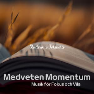 Medveten Momentum: Musik för Fokus och Vila - Studera x Fokusera