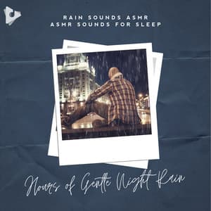 Hours of Gentle Night Rain - Rain Sounds ASMR