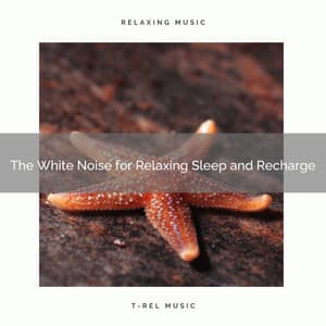 The White Noise for Relaxing Sleep and Recharge - Deep Sleep Noises