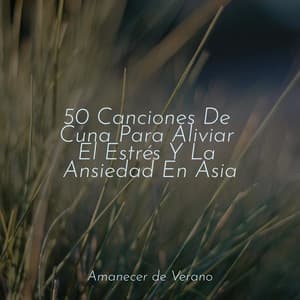 50 Canciones De Cuna Para Aliviar El Estrés Y La Ansiedad En Asia - Relajación Meditar Academie
