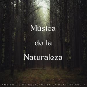 Música De La Naturaleza: Ambientación Nocturna En La Montaña Vol. 1 - Sonidos relajantes de la selva tropical