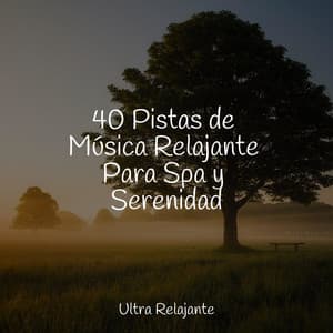 40 Pistas de Música Relajante Para Spa y Serenidad - Canciones de Cuna 101