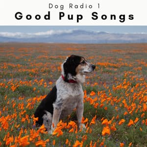 2 0 2 3 Good Pup Songs - Dog Radio 1