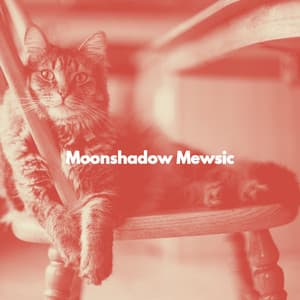 Moonshadow Mewsic - Cat Music Oasis