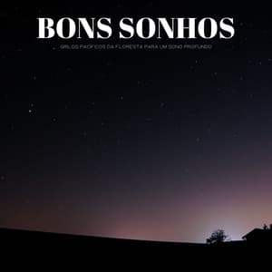 Bons Sonhos: Grilos Pacíficos Da Floresta Para Um Sono Profundo - Música de Relaxamento No Spa