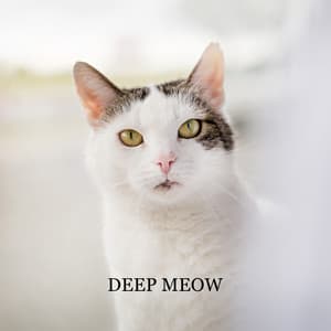 Deep Meow: Jazz for Cats - Soft Jazz Mood