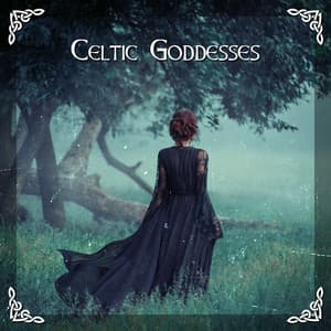Celtic Goddesses: Fairy Aesthetic Medieval Music from Mysterious Forest with Celtic Harp Sounds - Irish Celtic Spirit of Relaxation Academy