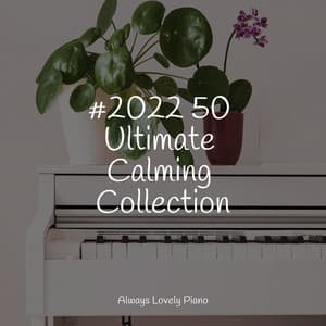 50 Soothing Piano Tracks for a Deep and Peaceful Ambience - Anti Stress