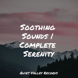 Soothing Sounds | Complete Serenity - Ambient Forest