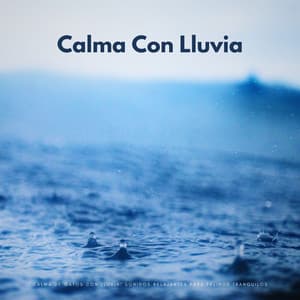 Calma De Gatos Con Lluvia: Sonidos Relajantes Para Felinos Tranquilos - Sonido de lluvia ricky