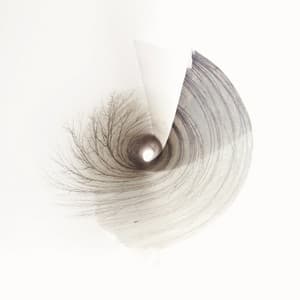 Vivancos: Blanc - Bernat Vivancos