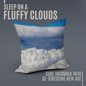 Sleep on a Fluffy Clouds : Cure Insomnia in an Instant, Take a Rest with De-Stressing New Age - Sleep New Age Master