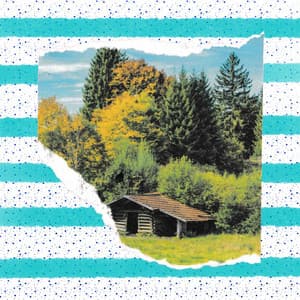 Music for Supportive Surprises - Alto Sax - Cafe Jazz Duo